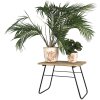Clayre & Eef 64968 Tavolo per piante marrone 46x26x33 cm