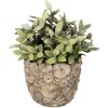 Clayre & Eef 6TE0359M Vaso da fiori per interni grigio Ø 14x13 cm