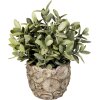 Clayre & Eef 6TE0359S Vaso da fiori per interni grigio Ø 11x10 cm