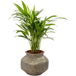 Clayre & Eef 6Y4527 Vaso color oro Ø 28x20 cm