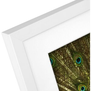 Cornice Goldbuch in legno Pino 20x25 cm bianco con passe-partout 13x18 cm