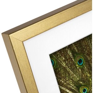Cornice in legno Goldbuch Pino 20x25 cm oro con Passepartout 13x18 cm