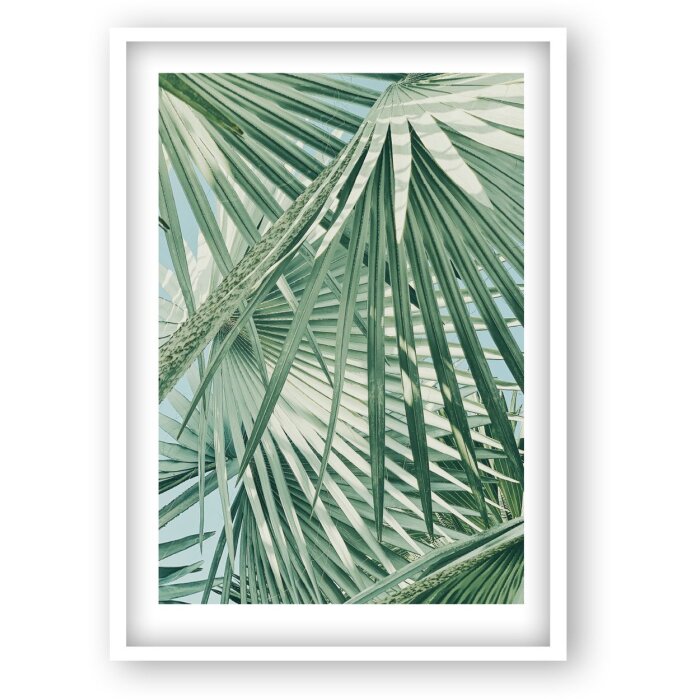 Goldbuch Cornice in plastica Time To Relax 13x18 cm White Palm