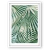 Goldbuch Cornice in plastica Time To Relax 13x18 cm White Palm
