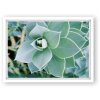 Goldbuch Cornice di plastica Time To Relax 13x18 cm Succulente bianca