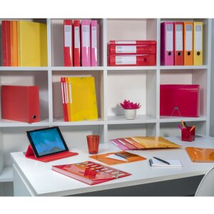 Scatola di trasferimento Exacompta in cartone, dorso 90mm, 25x33cm per DIN A4 - Iderama