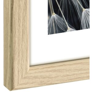 Hama Cornice di plastica Breeze 10x15 cm rovere