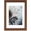 Hama Cornice in plastica Breeze 30x40 cm noce