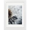 Hama Cornice di plastica Breeze 10x15 cm bianco