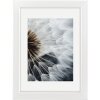 Hama Cornice di plastica Breeze 13x18 cm bianco