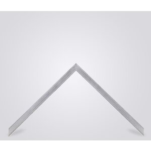 Walther cornice in legno Barcellona 25x30 cm vetro antiriflesso argento