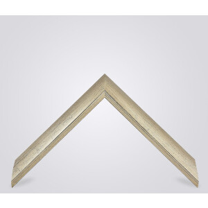 Walther cornice in legno Almeria argento 62x93 cm vetro antiriflesso