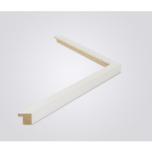 Walther cornice in legno Malaga bianco 70x100 cm vetro antiriflesso