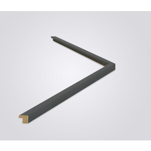 Walther Cornice in legno Valencia Vetro trasparente Antracite 50x60 cm