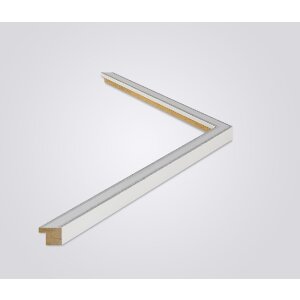Walther cornice in legno Barcellona 50x100 cm argento vetro trasparente