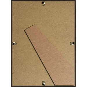 Cornice in plastica Napoli 18x24 cm in acciaio