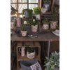 Clayre & Eef 6CE1409L Vaso da fiori per interni rosa Ø 16x16 cm