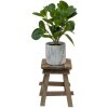 Clayre & Eef 6H2202 Fioriera da tavolo marrone 15x15x21 cm