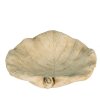 Clayre & Eef 6TE0384 Mangiatoia per uccelli Leaf Beige 22x22x6 cm