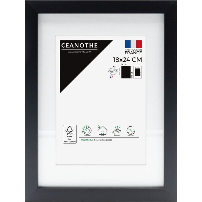 Cornice Ceanothe Milano nera 20x30 cm con Passepartout 13x18 cm