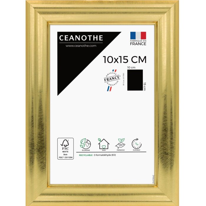 Cornice Ceanothe Julia 10x15 cm oro