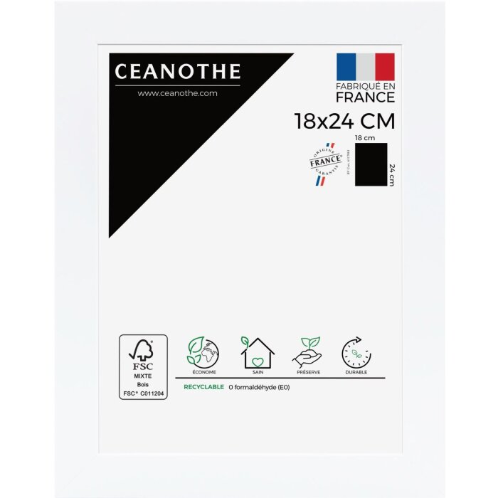 Cornice Ceanothe Eternel 40x50 cm bianco