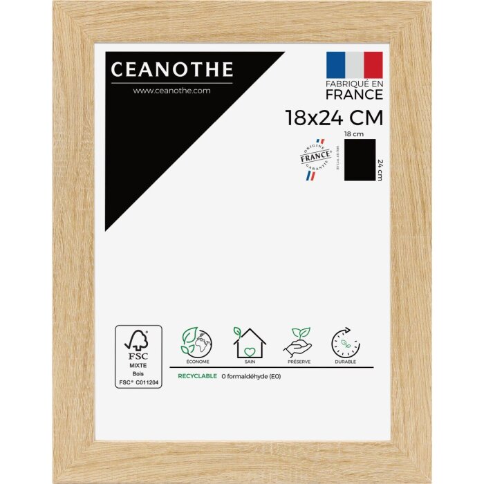 Cornice Ceanothe Eternel 10x15 cm naturale