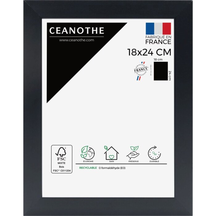Cornice Ceanothe Eternel 15x20 cm nero