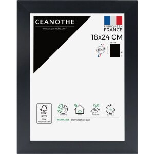 Cornice Ceanothe Eternel 15x20 cm nero