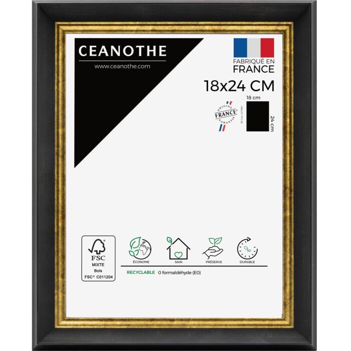 Cornice Ceanothe Pandore 20x30 cm nero-oro