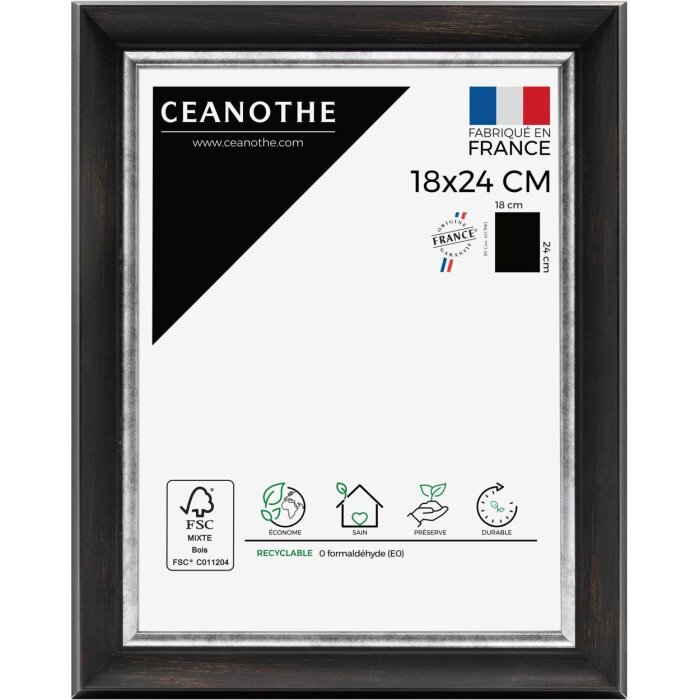 Ceanothe Cornice per quadri Pandore 30x40 cm nero-argento