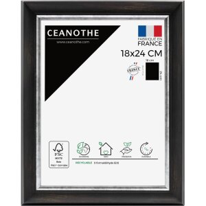 Cornice Ceanothe Pandore 40x50 cm nero-argento
