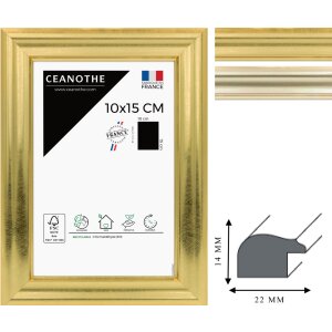 Cornice Ceanothe Julia da 10x15 cm a 60x80 cm