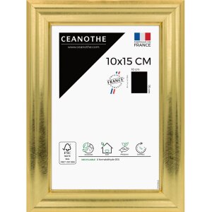 Cornice Ceanothe Julia da 10x15 cm a 60x80 cm