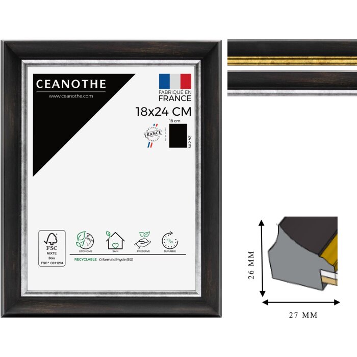 Cornice Ceanothe Pandore da 10x15 cm a 60x80 cm