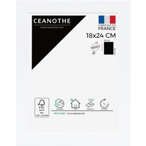 Cornice Ceanothe Eternel da 10x15 cm a 50x70 cm
