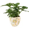 Clayre & Eef 6CE1532S Vaso da fiori decorativo Ø 13x12 cm Giallo