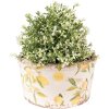 Clayre & Eef 6CE1533M Vaso da fiori decorativo Ø 16x9 cm Giallo