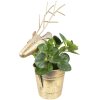 Clayre & Eef 6Y4971 Decorazione Fioriera Cervo 27x17x16-45 cm Color oro