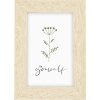 Portafoto in plastica Goldbuch Florina 10x15 cm beige