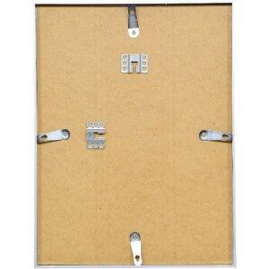 Effect Bilderrahmen Aluminium Serie 1 Klarglas silber 60 x 90 cm