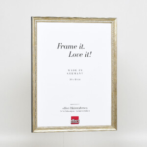 Cornice per foto in legno Effect Profilo 48 Oro 20x25 cm Vetro Chiaro