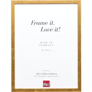 Effect Holzrahmen Profil 51 antikgold 30,5x91,5 cm Klarglas