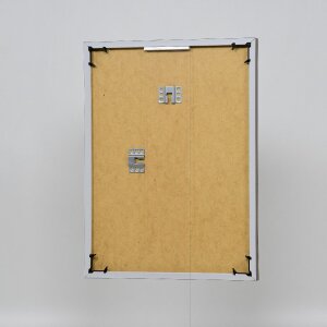 Cornice in plastica effetto Art platinum 20x25 cm vetro antiriflesso
