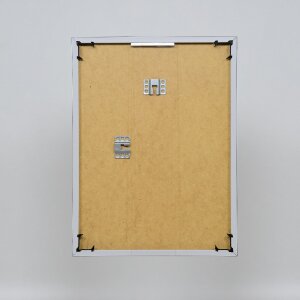Cornice in plastica effetto Art platinum 20x25 cm vetro antiriflesso