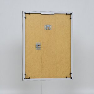 Cornice in plastica effetto Art platinum 20x25 cm vetro antiriflesso