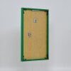 Cornice in plastica effetto Art green 28x35 cm vetro antiriflesso