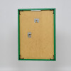Cornice in plastica effetto Art green 40x50 cm vetro antiriflesso