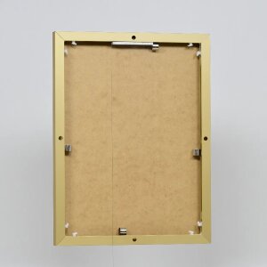 Cornice in alluminio effetto Quadro 50x100 cm vetro antiriflesso oro