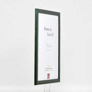 Cornice per foto in legno Effect Profilo 43 Verde Tanne 25x80 cm Vetro Antiriflesso